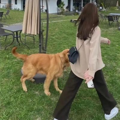 布伦德的摇篮曲